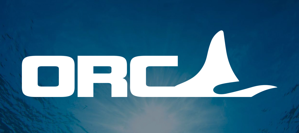 Orca Logo Landscape