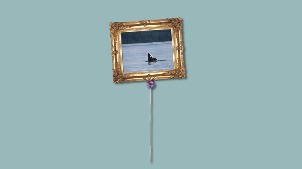 A photo frame balancing on a pin to help demonstrate a small image size.